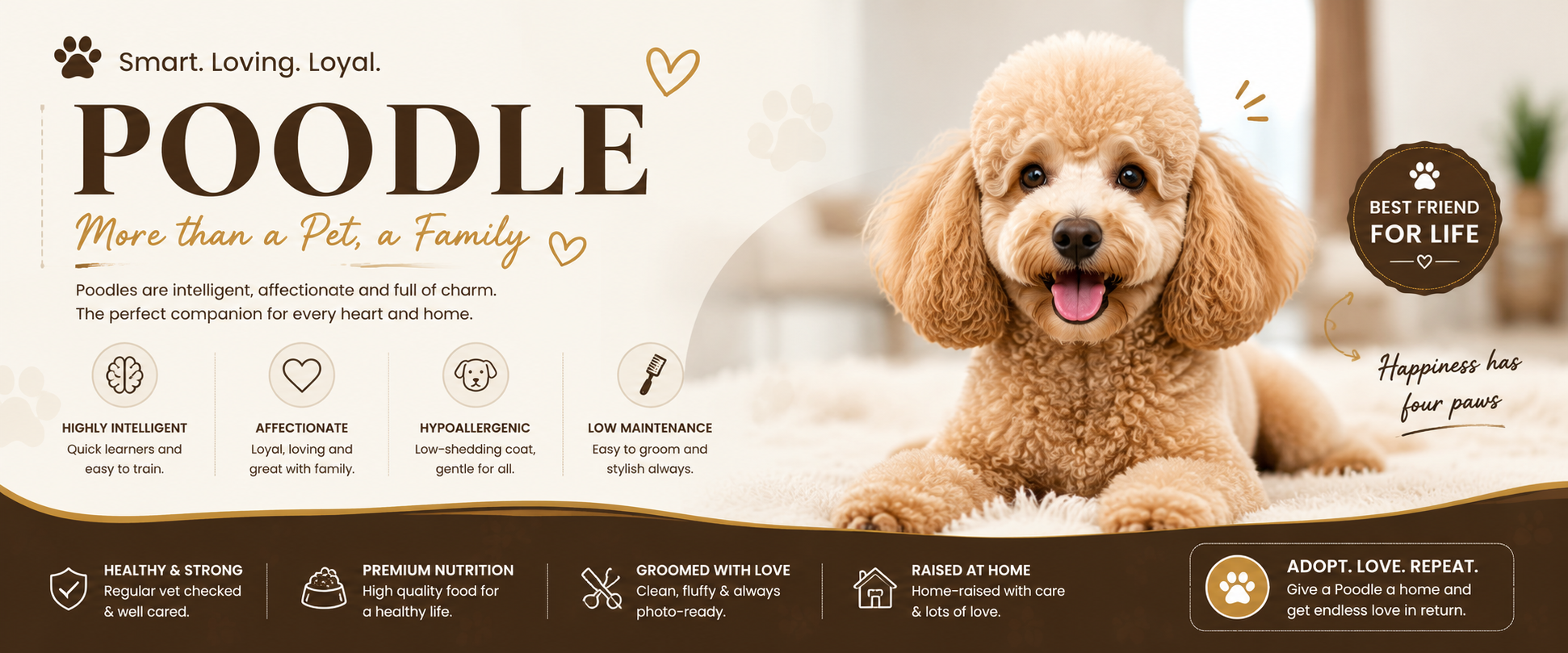 Poodle (Toy) Puppies For Sale